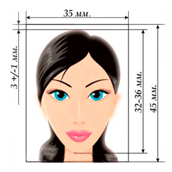 Зразок фотографії для візи